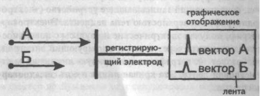 Сравнение величины векторов Сравнение величины векторов