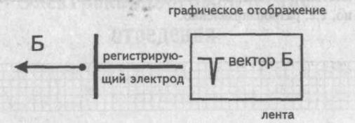 Направление вектора от электрода Направление вектора от электрода
