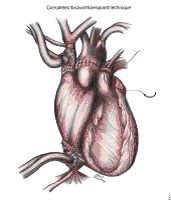 Бикавальная методика Бикавальная методика